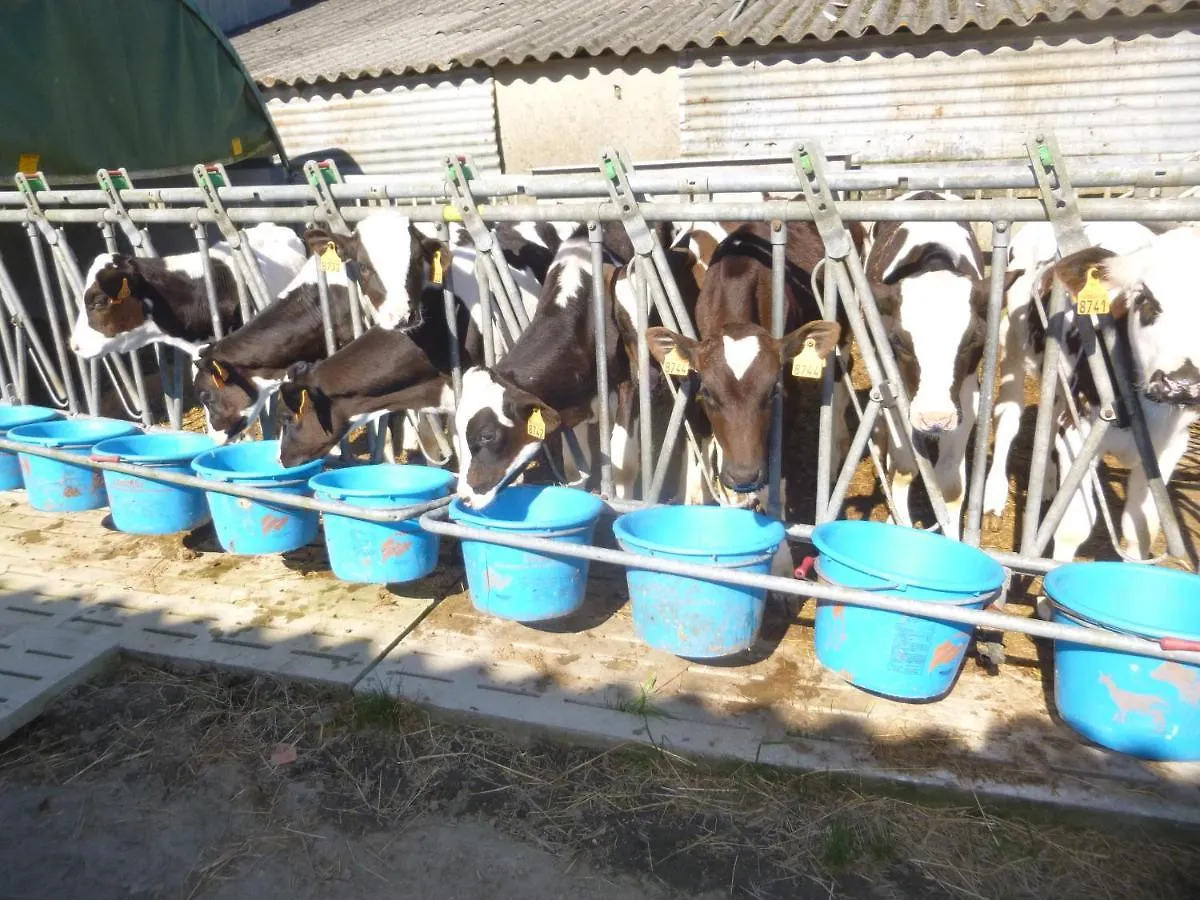 Chambres A La Ferme Keramis France