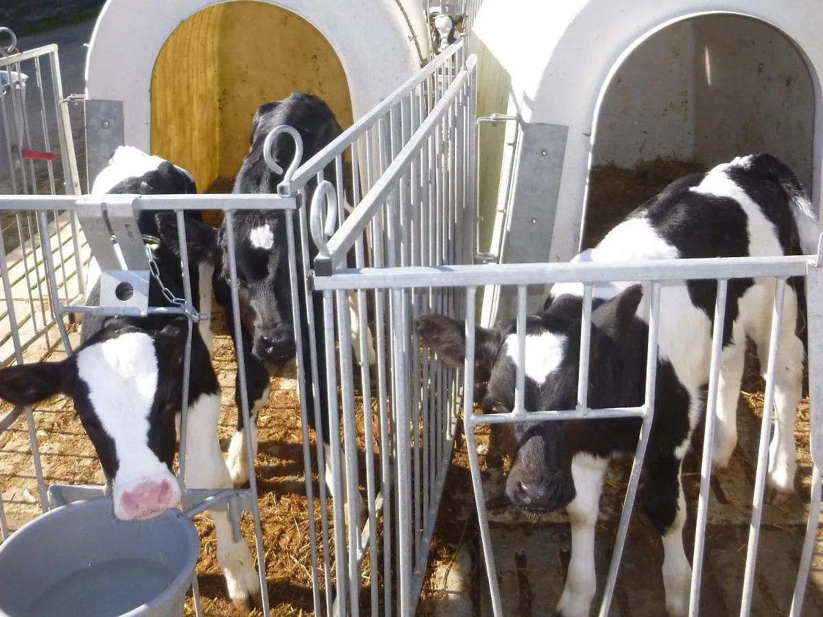 Chambres A La Ferme Keramis Plougar